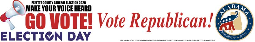 vote Republican ad