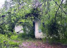 Photo by Fayette County Sheriff Byron Yerby